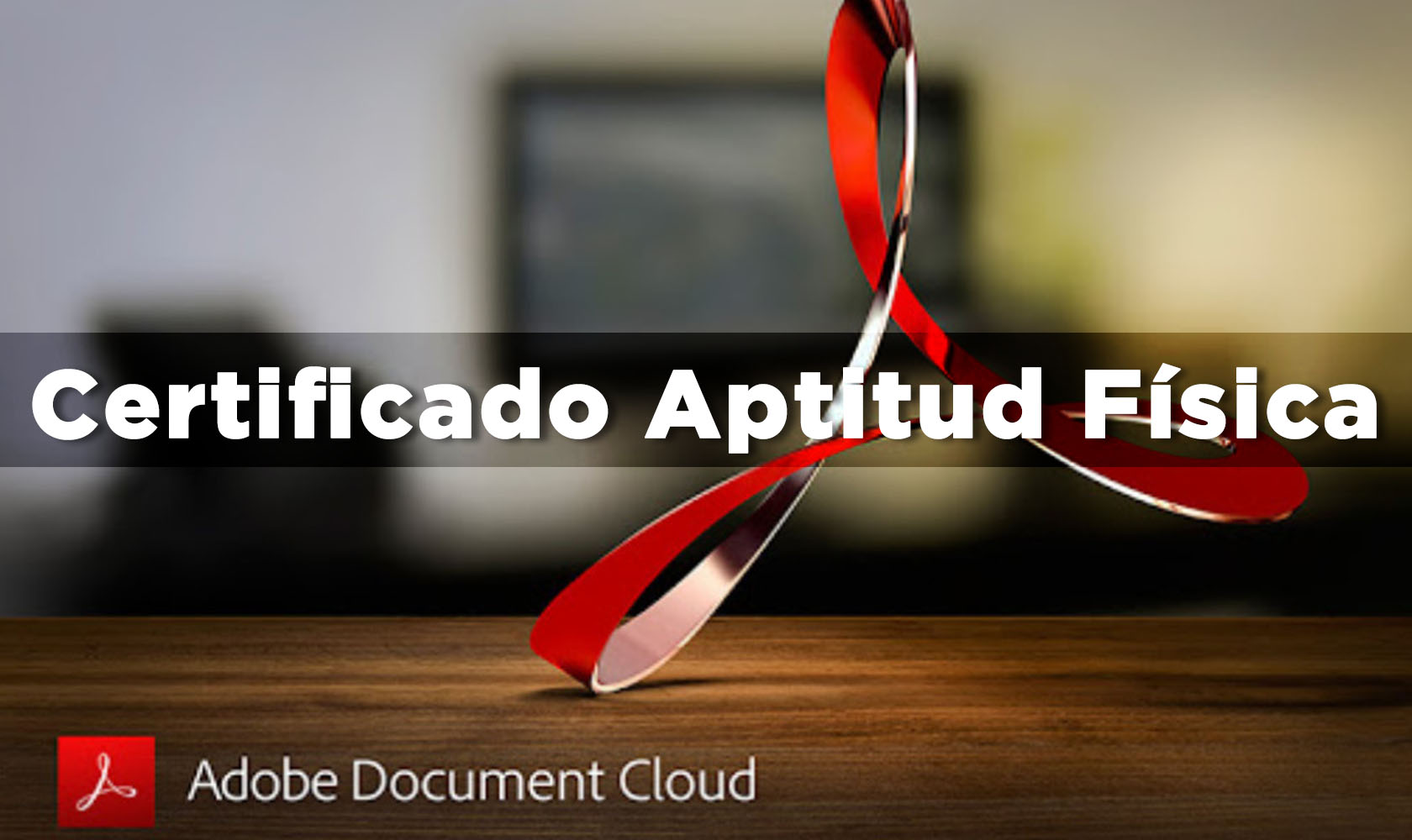 Certificado Educacion Fisica 2025